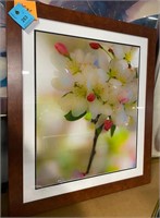 Cherry framed commercial floral print
