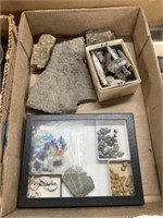 Antique Fossils
