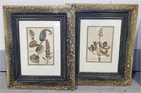 (E) Framed Plant Prints - (18-3/4" x 22.5")