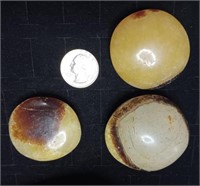 3 Count Natural Septarian Palms