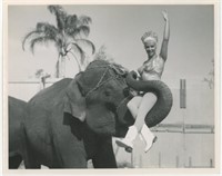 8x10 Woman with elephant