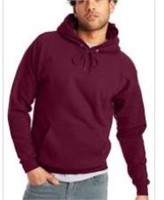 Hanes Mens Pullover Ecosmart Hooded Sweatshirt
