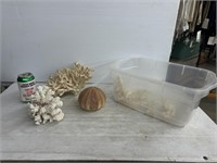 Tub of decorative coral for aquarium