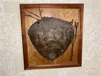 Hornets nest mounted wall display