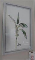 (3) Framed prints of spice plants: Sage, Thyme