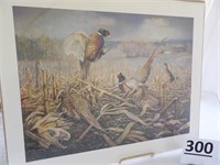 Pheasant Print by Jim Foote