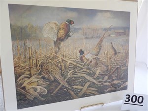 Pheasant Print by Jim Foote