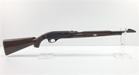 Remington Nylon 66 .22 LR rifle