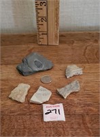 Fossil & pottery shards