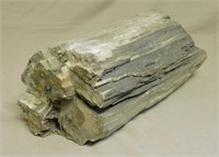Very Large Piece of Petrified Wood.