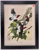 Print "Red Headed Woodpecker" - John Ruthven