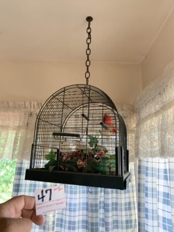 Bird Cage