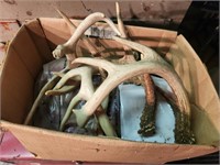 Box of Deer Antlers