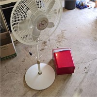 FAN AND MORE