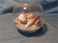 Small Fish Bowl with Sand and Shells