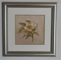 Framed Print of White Peony Plant 15” x 15”