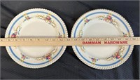 2 Vintage 9" Porcelain Plates