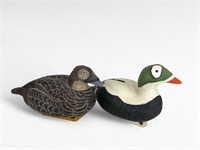Competition Spectacled Eider Pair - Les Worrell