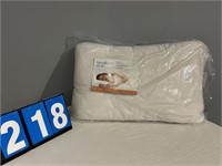 Nova Form Pillow
