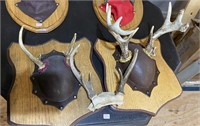 3 sets of antlers