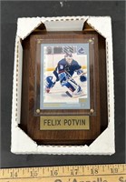 TOPPS Felix Potvin Hockey Card 2001 mounted on