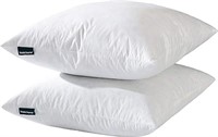 Basic Home 14x24 Euro Throw Pillow Inserts-Down