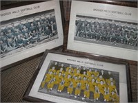 1946-48 Peshtigo Badger Mills Softball Club Pics