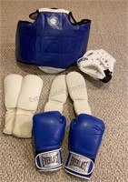 Boxing Set W/ Everlast Gloves