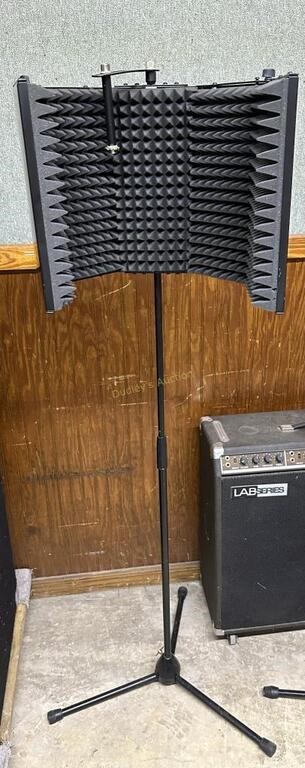 7/31/2024 Musical Instrument & Amp Auction