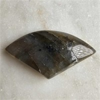 CERT 12.58 Ct Cabochon Labradorite, Fancy Cut Shap