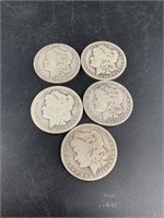 Five Morgan silver dollars all low grade and clean