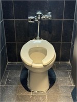 Zurn Automatic Toilet
