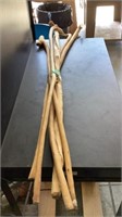 Walking Sticks