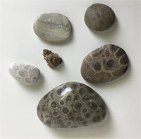Collection of Petoskey Stones