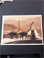 Dinosaur photo print 8x10" mounted as pictured