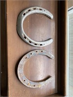Pair of Lucky Horseshoes