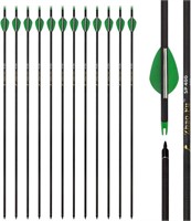 12 PC Practice Hunting Arrows with Removable Tips