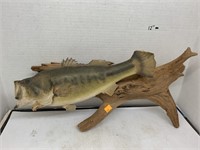 Fish Mounted on Log