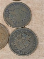 8 indian head pennies 1800's 1900's