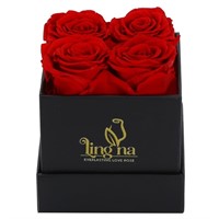 Discover the LINGNA Everlasting Love Roses Mystery