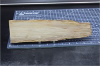 Louisiana Palm Wood, Plank Cut, Highly Agatized