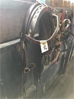 Headstall & Pack Pad