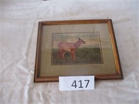 Deer Picture--Wm. Ervin signed 11x9