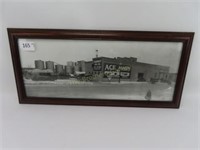 Vintage Framed Photo - 10" x 22"