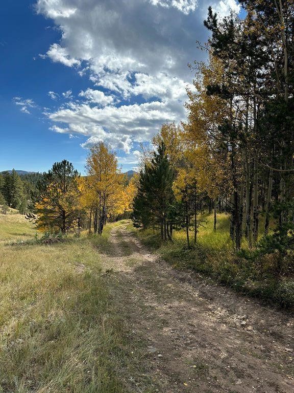 5.16 Ac. Chance, Real Property, Idaho Springs, CO