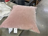 Bed bath and Beyond 24 x 24 Velvet Pillow