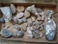 Fossil, Rocks & Minerals
