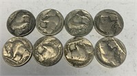 8 Buffalo Nickel Coins