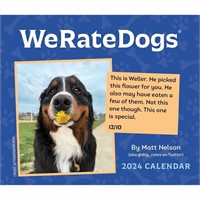 WeRateDogs 2024 Day-to-Day Calendar (Calendar)