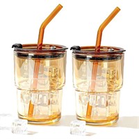 Pack of 2 13.5 oz Tumbler with Lid and Straw